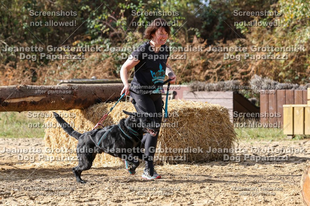 Dog Paparazzi - Strongdog 10-25-5079 | Dog Paparazzi Jeanette Grottendiek Fotografie & Videografie - Realisiert mit Pictrs.com