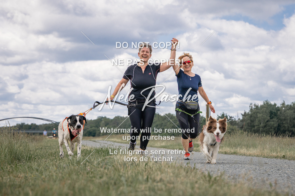 nelerasche_BuHu2026_SaCC1100-1200_154 | nelerasche