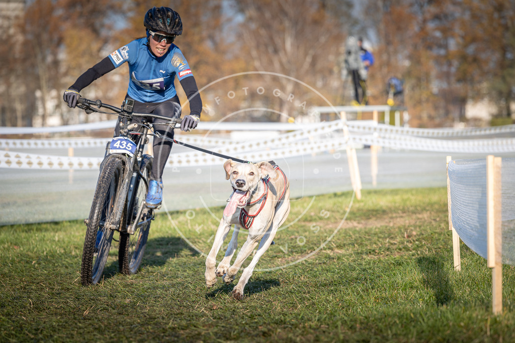 CaniXpix_0L8A4312 | Hundefotografie, Tierfotograf, Pfotenfotografie, Fotoshooting Hund, Hunde Portrait, Hundesport, Hundeportraits, Heideshooting, Hunde, Sportfotograf, Hundefotograf, Turnierhundsport, THS,  - Realisiert mit Pictrs.com