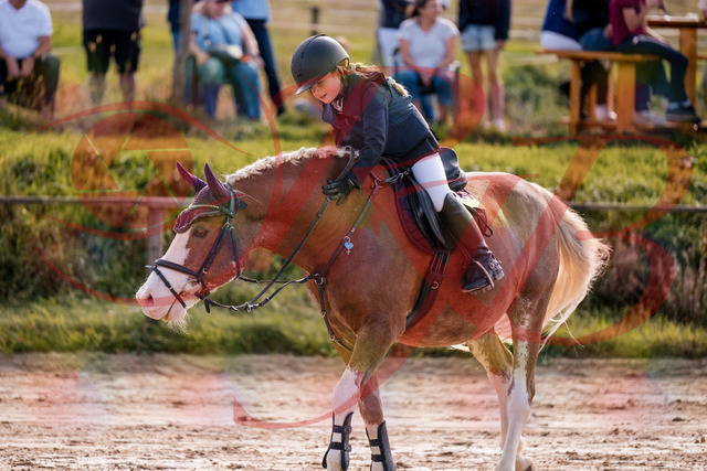 2026_10_03_Siefer-Hof_144535_Z81_21264203 | Professionelle Reitsport-, Turnier- und Eventfotografie von Robert Broda. Galerien mit ausgewählten und bearbeiteten Bildern direkt online ansehen und bestellen.