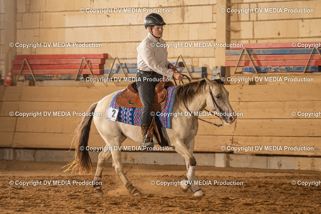 NID02081 | dv-media-shop - Realisiert mit Pictrs.com