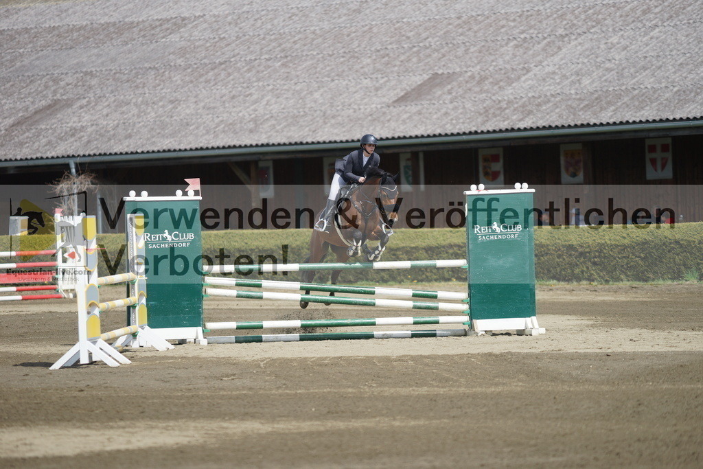 DSC04087 | equestrian-live-com