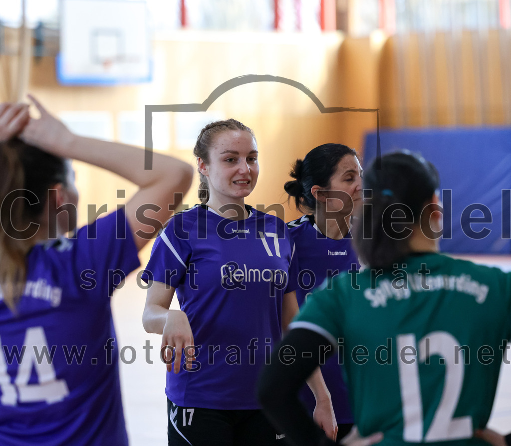 2023-03-18_005_SpVgg_Altenerding_II_gegen_HSG_Freising-Neufahrn_II | Erding, Deutschland, 18.03.2023:
Handball, Bezirksliga Frauen Altbayern 2022 / 2023, 14. Spieltag, SpVgg Altenerding II gegen HSG Freising-Neufahrn II, Endergebnis: 25:27

Thea-Sophie Steinbrecher (SpVgg Altenerding, #17)

Foto: Christian Riedel / fotografie-riedel.net