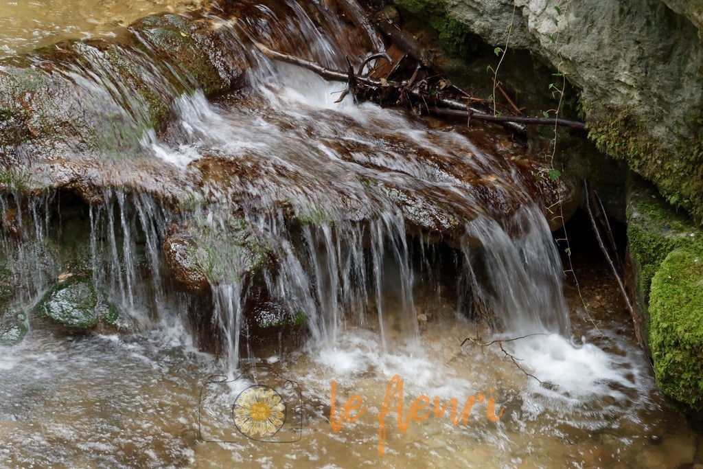 DSC_0150-NEF_DxO_PRIME | Dies ist der Shop von Florian Blum - le fleuri. Langenthal, Bern, SchweizSie können hier meine oder ihre eigenen Fotos als Fotoprodukte kaufen. Tassen, Schlüsselanhänger, Taschen etc. können Sie hier gestalten.  - Realisiert mit Pictrs.com
