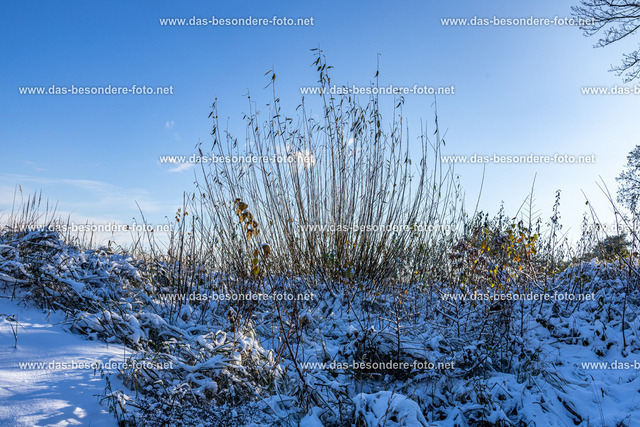038-Usedom-Wi_2023 | Hochzeitsfotografie Königs Wusterhausen, Eventfotografie, Babyfotografie, Kindergartenfotografie, Schulfotografie, Luftbildfotografie, Landschaftsfotografie - Realisiert mit Pictrs.com