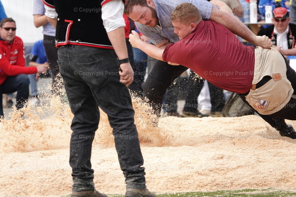 DSC03652 | Schwingen - Realisiert mit Pictrs.com