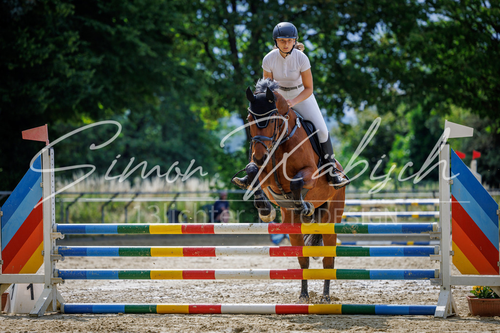20260705-_3LI4220 | Tierfotografie Pferde, Hunde, Katzen, Haustiere.
Turnierfotografie Reitturniere, Reiten, Springreiten, Dressur in Hanau, dem Main-Kinzig-Kreis und dem Rhein-Main- Gebiet um Frankfurt