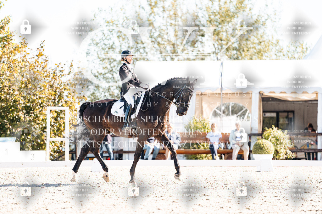 CK908869 | Turnierfotografie Pferdefotografie Trier Rheinland-Pfalz Pferdesport Reitsport Tierfotografie Sportfotografie Pferdevideo Pferdevideografie Equestrianvideography equestrianphotography  - Realisiert mit Pictrs.com