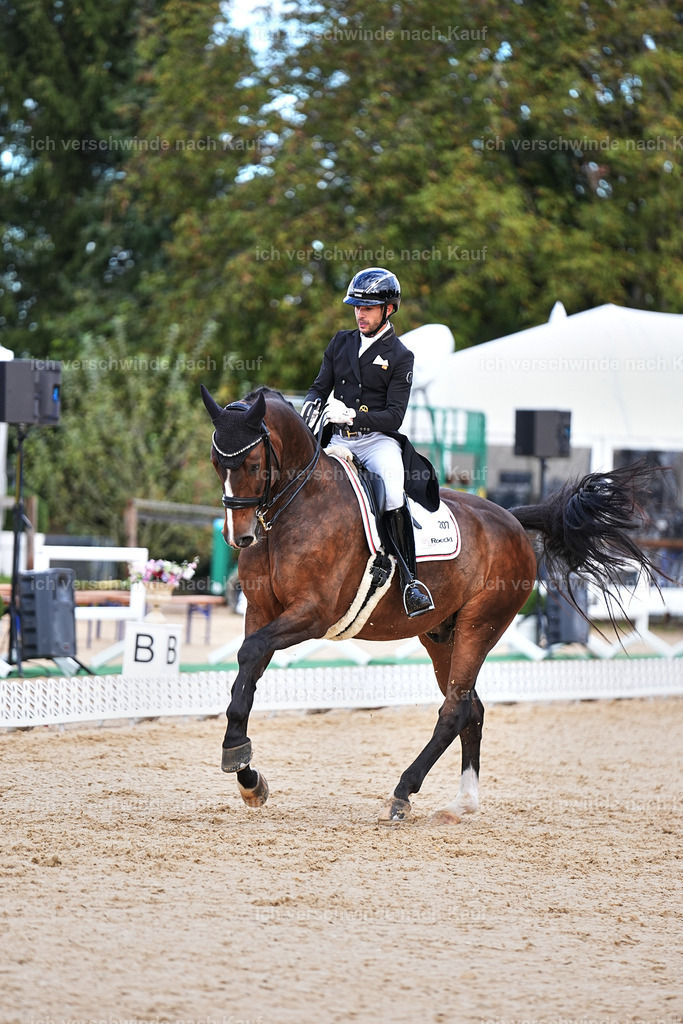 10-207-ST.GEORG SPECIAL -Marixx-3396 | working equitationturnier fotograf videograf stoibphotography marixx film working equitation deutschland reitsport turnierfotografie eventfotografie equestrian events