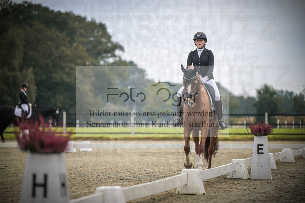 DOS_B384 | Entdecke hochwertige Reitturnierfotos von Foto Oger. Professionell, emotional und authentisch – jetzt Lieblingsmomente im Shop bestellen.Deutschlandweite Turnierfotografie. - Realisiert mit Pictrs.com