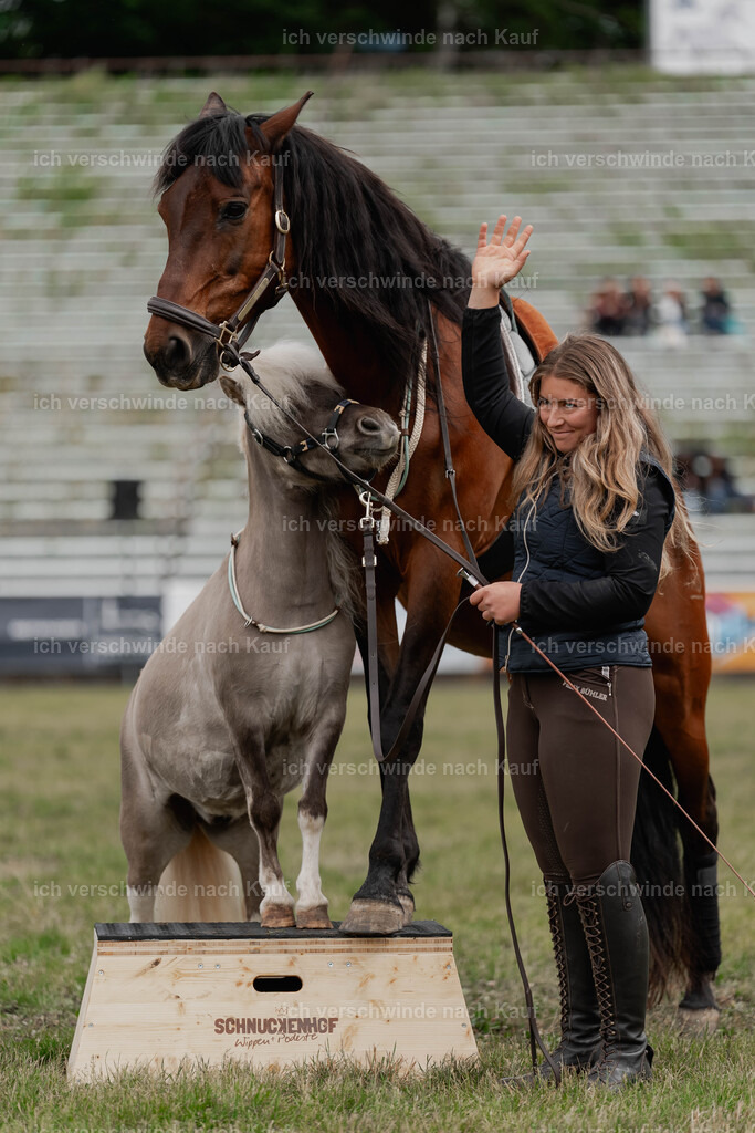 Showprogramm-127 | working equitationturnier fotograf videograf stoibphotography marixx film working equitation deutschland reitsport turnierfotografie eventfotografie equestrian events