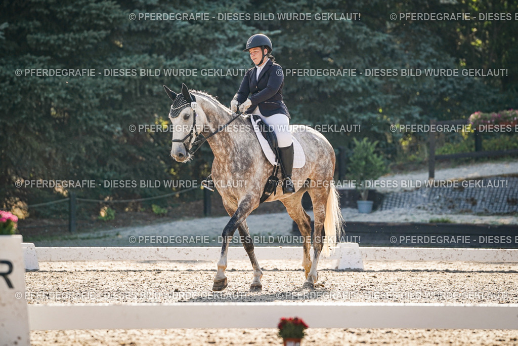 DSC08469 | Pferdegrafie