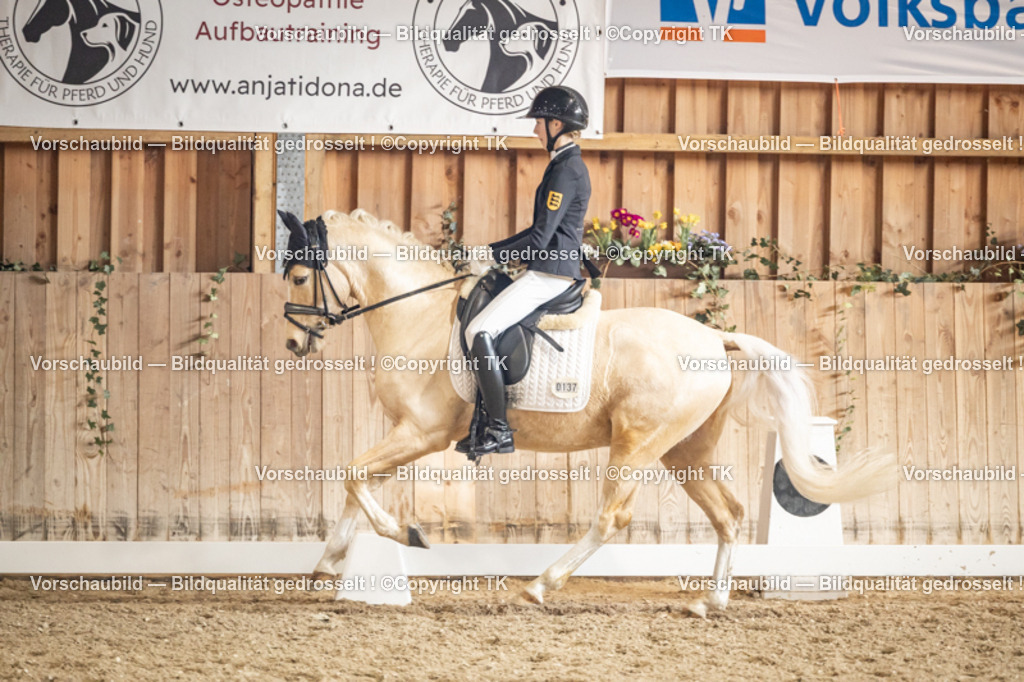 _D5A1384 | Emotionale Pferde- & People-Fotografie rund um Heidelberg, Leimen & Umgebung. Natürliche Fotos von Pferd, Mensch & Familie. Jetzt Termin sichern!