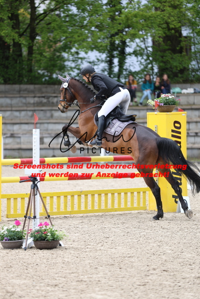 A40A2271 | lmwpictures - Realisiert mit Pictrs.com