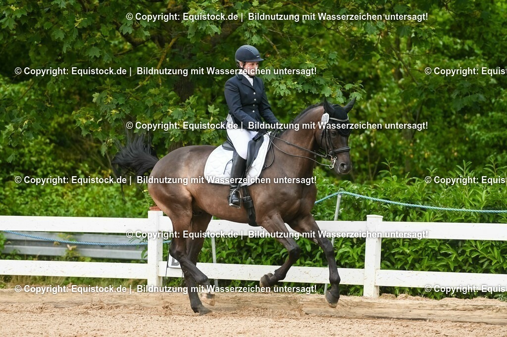 20230716_01_Dressurprüfung Kl.M_0420 | equistock