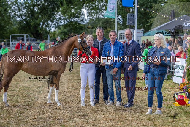 DR (2390 von 2698) | mandyhollmannphotographie