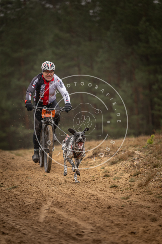 Pfotenfotografie_DV3A3275 | Hundefotografie, Tierfotograf, Pfotenfotografie, Fotoshooting Hund, Hunde Portrait, Hundesport, Hundeportraits, Heideshooting, Hunde, Sportfotograf, Hundefotograf, Turnierhundsport, THS,  - Realisiert mit Pictrs.com