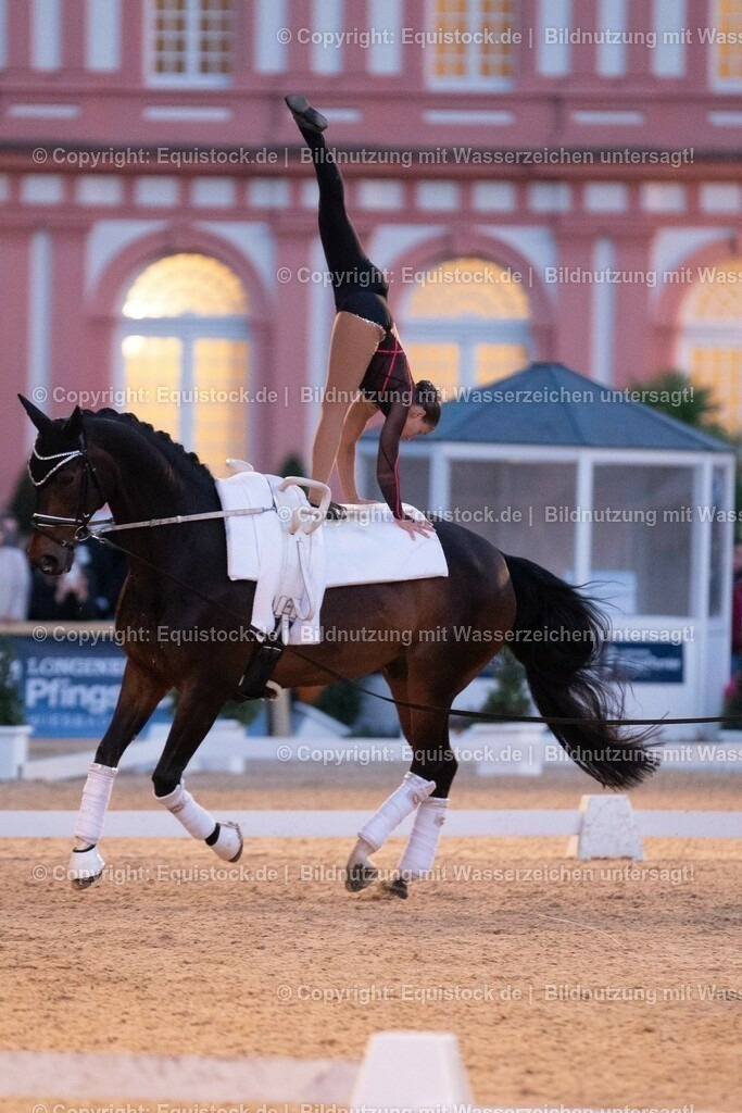 20230527_Voltigieren_NASPA_Flutlicht_0497 | equistock