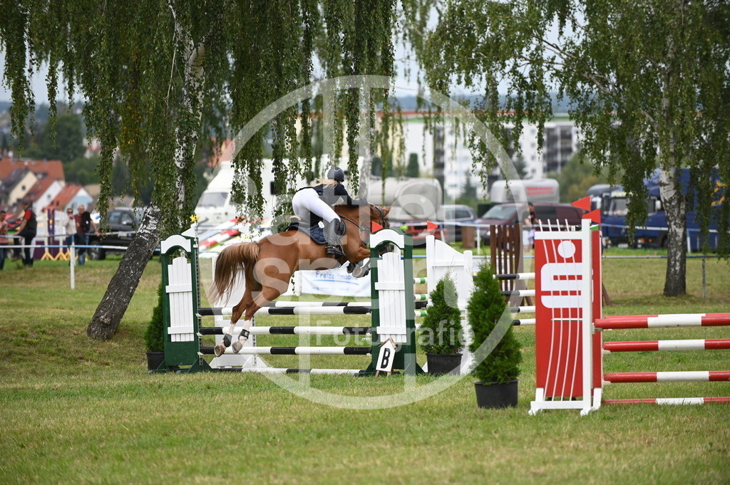 DSC_1906 | sattelsport - Realisiert mit Pictrs.com