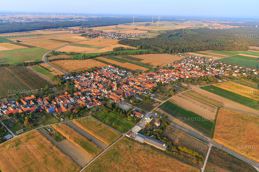 Luftbild: Dorfansicht von Südosten in Erlenbach bei Kandel im Bundesland Rheinland-Pfalz in Deutschland. Foto: IMG_110712.jpg vom 05.09.2018 durch Werner Riehm/FLY-FOTO.de