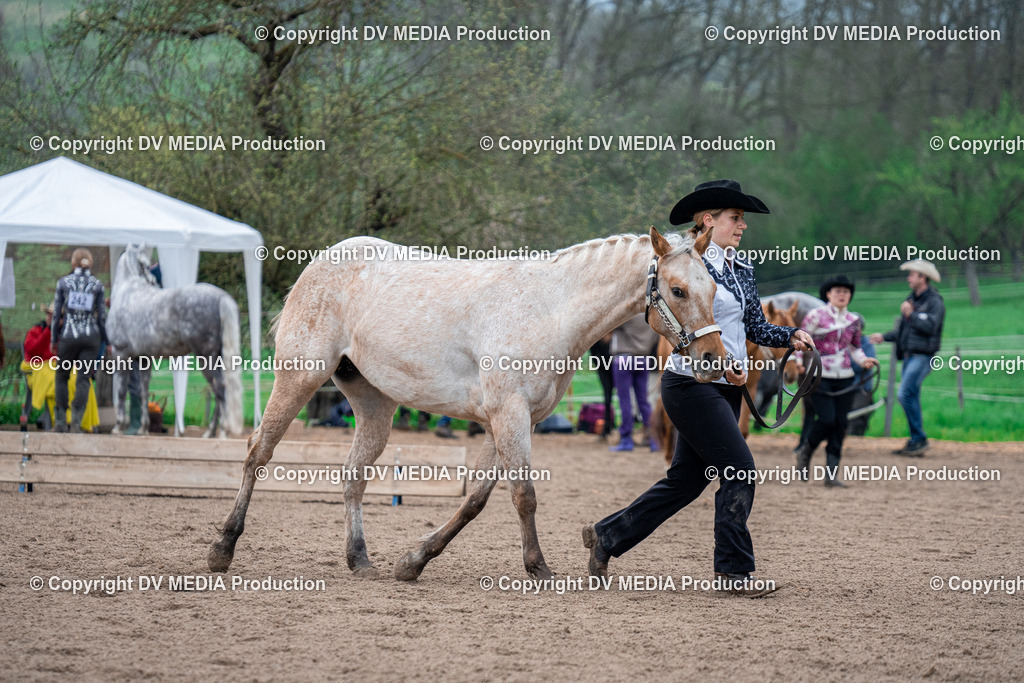 BA300067 | dv-media-shop - Realisiert mit Pictrs.com