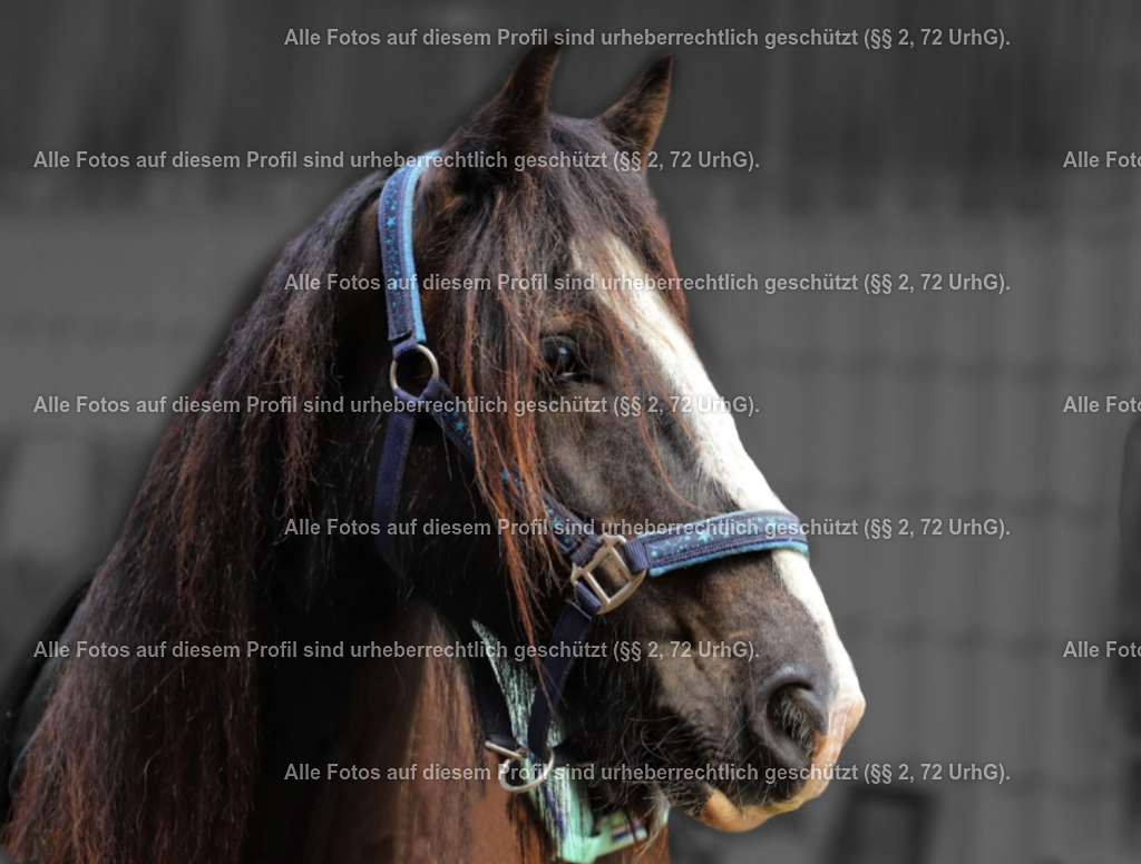 Screenshot_20230920-025308 | krollfotografie - Realisiert mit Pictrs.com