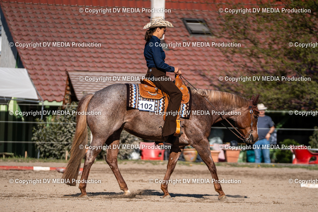 Balingen Tag 2-330 | dv-media-shop - Realisiert mit Pictrs.com