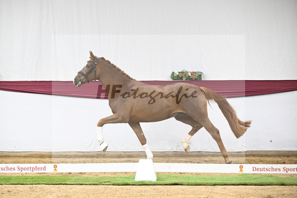 Kat-Nr. 115 Secret x Fidermark_Frieder Heilemann_47254370 | hf-fotografie - Realisiert mit Pictrs.com