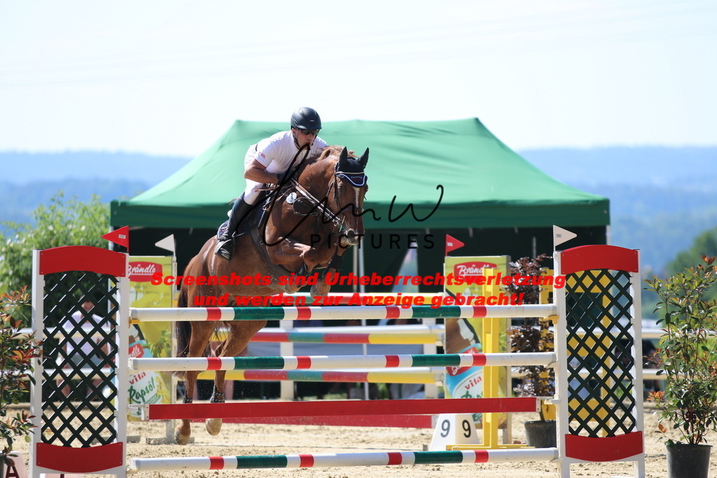 IMG_2957 | lmwpictures - Realisiert mit Pictrs.com