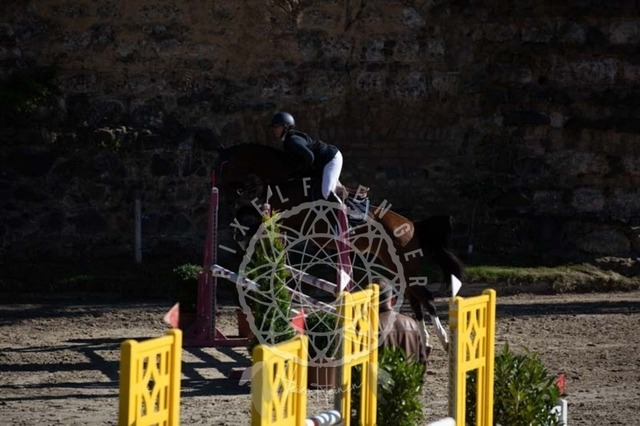 2B4A0219 | pixelfaenger - Realisiert mit Pictrs.com