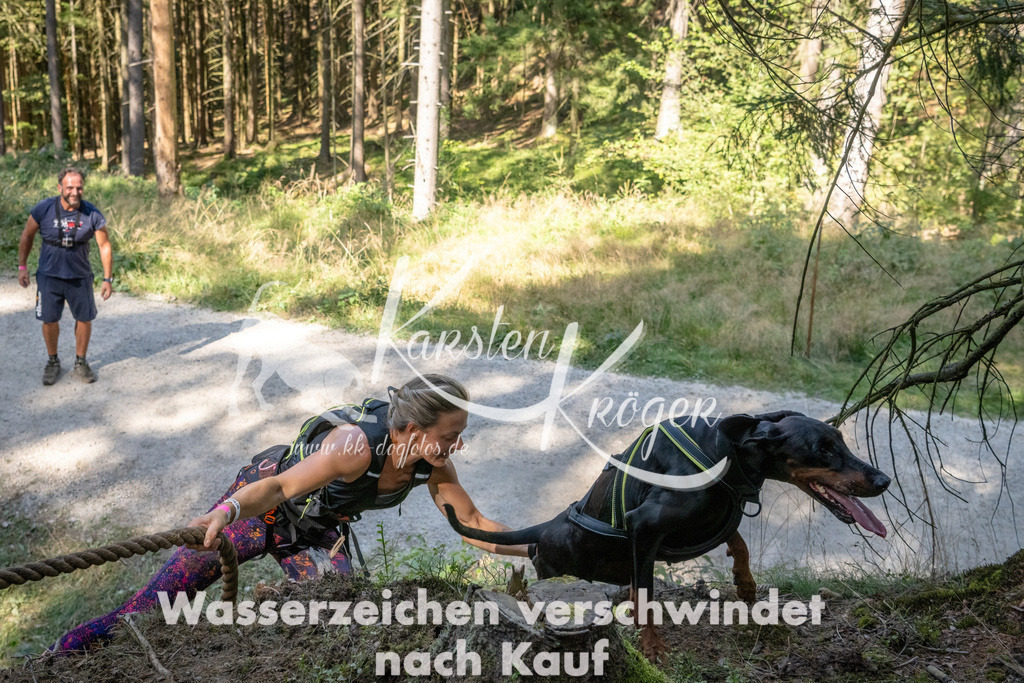 1227_ZZ94582 | kk-dogfotos