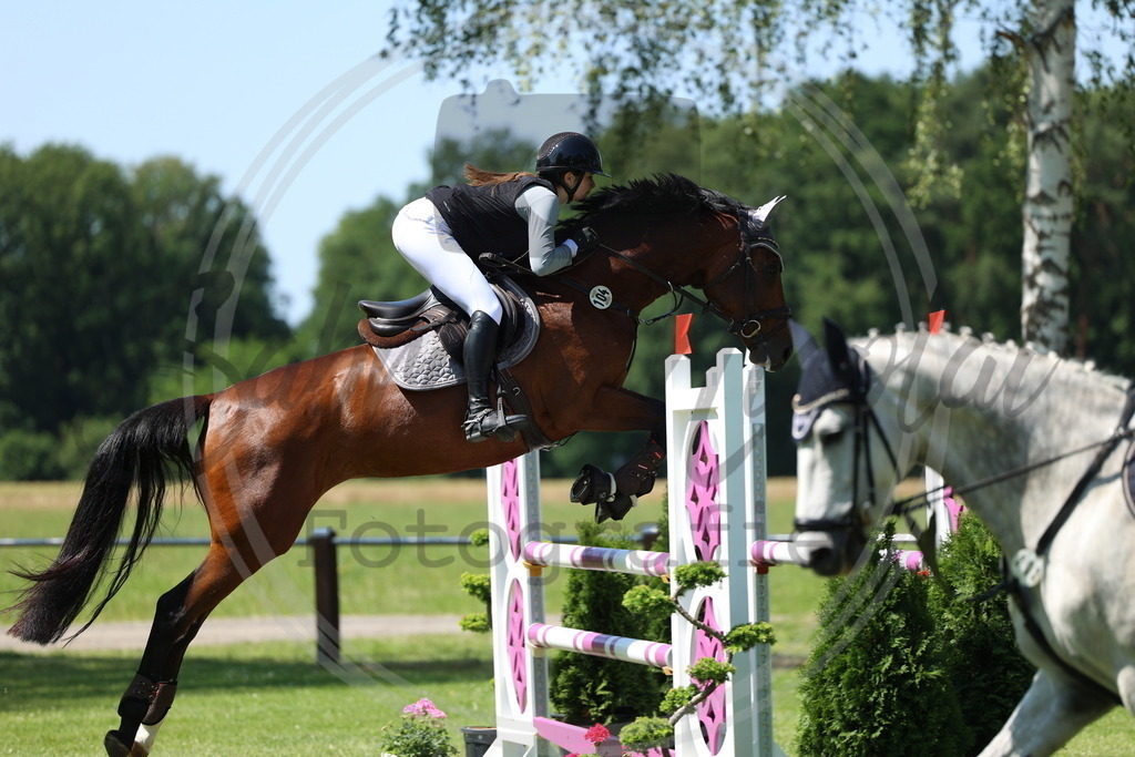 994A2838 | sabrinanicolaifotografie - Realisiert mit Pictrs.com