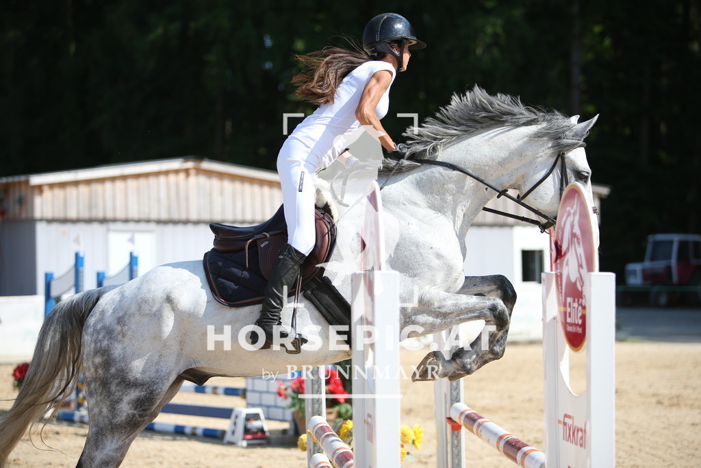 PP016002 | Willkommen bei Brunnmayr - Design & Fotografie – Ihrem Spezialisten für Reitturniere und Pferdeveranstaltungen in Oberösterreich, Salzburg und Bayern! Seit über 17 Jahren sind wir leidenschaftlich dabei.