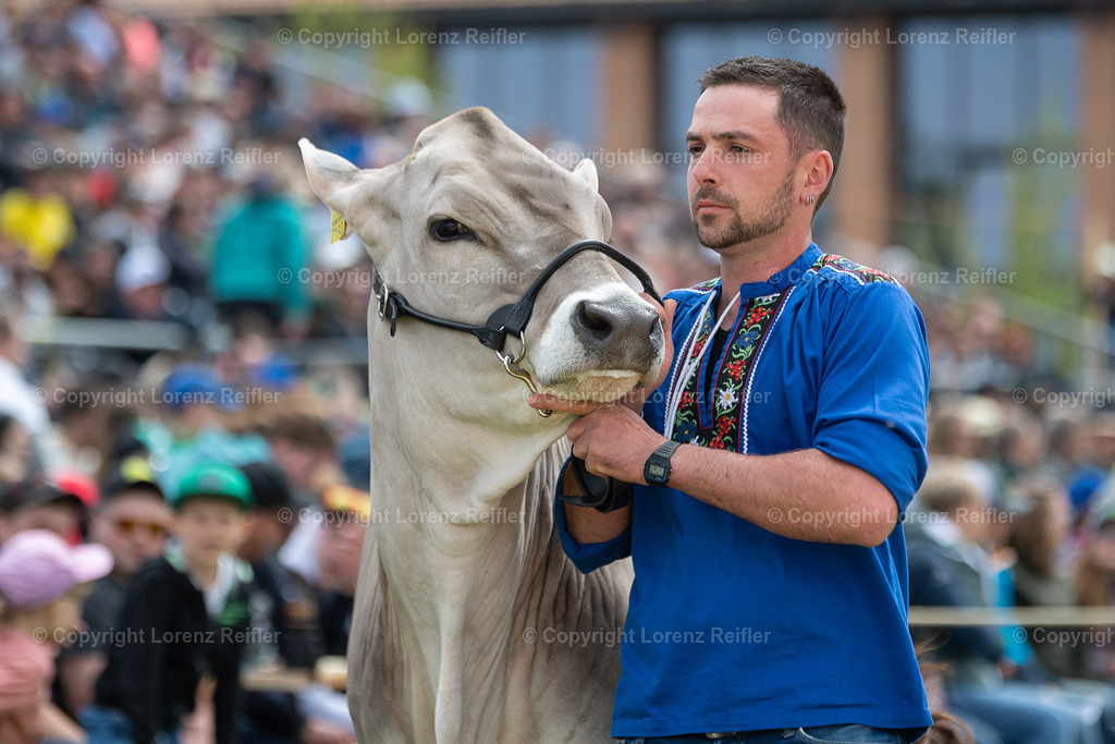 Schwingen -  TG Kantonal 2023 | Neukirch-Egnach, 30.4.23, Schwingen - TG Kantonal.