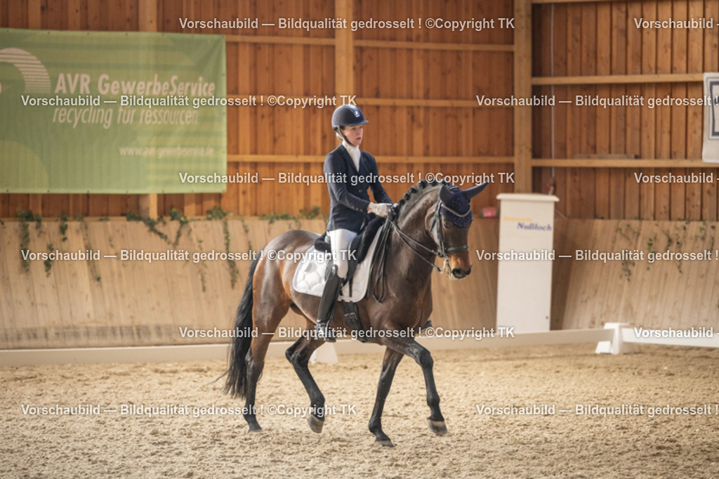 _D5A6470 | Emotionale Pferde- & People-Fotografie rund um Heidelberg, Leimen & Umgebung. Natürliche Fotos von Pferd, Mensch & Familie. Jetzt Termin sichern!