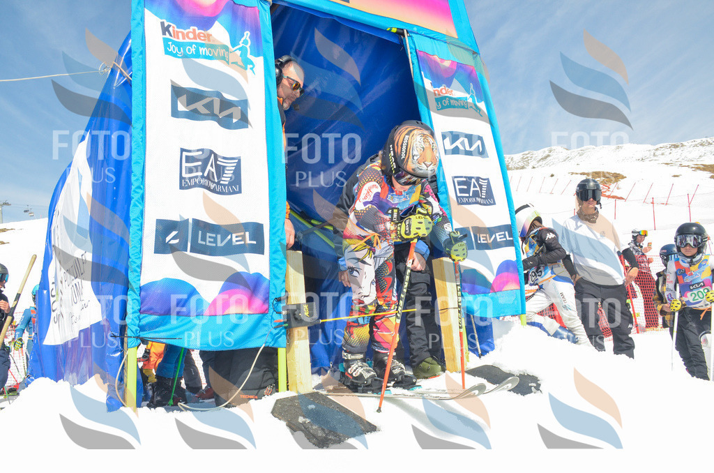 _ELE6566 | holidayphoto