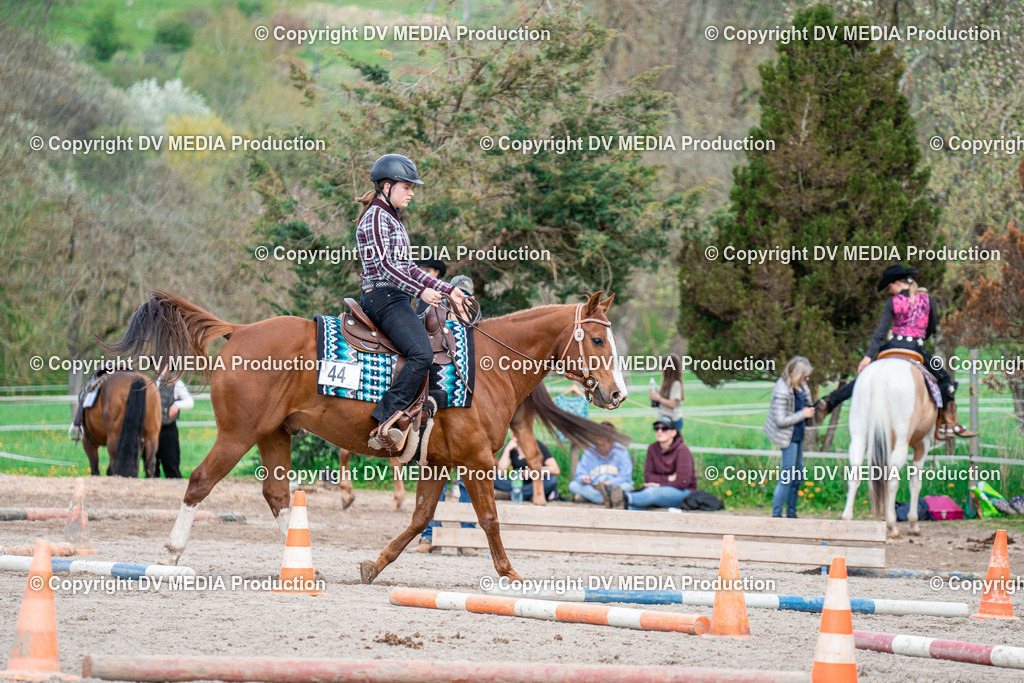 BAL02573 | dv-media-shop - Realisiert mit Pictrs.com