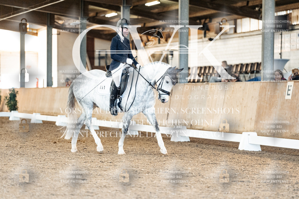 CK907738 | Turnierfotografie Pferdefotografie Trier Rheinland-Pfalz Pferdesport Reitsport Tierfotografie Sportfotografie Pferdevideo Pferdevideografie Equestrianvideography equestrianphotography  - Realisiert mit Pictrs.com