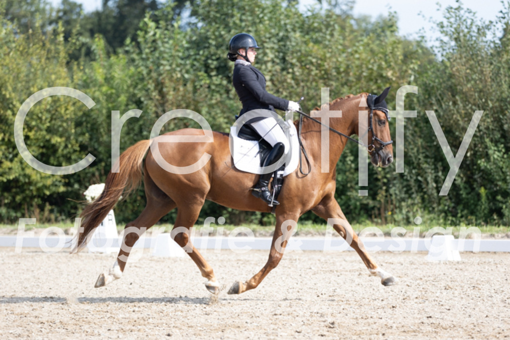 IMG_3276 | Creatify Fotografie