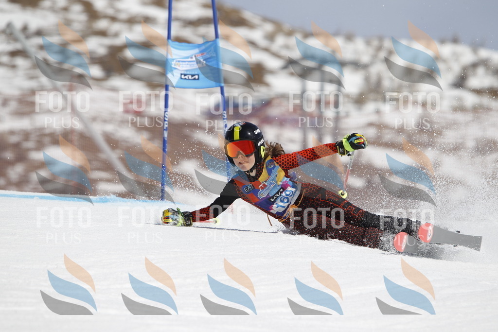 _U3G1529 | holidayphoto