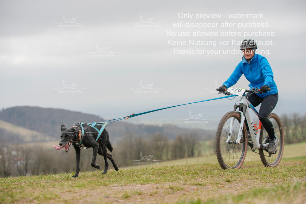 BikeSA-386 | stephaniefillaphotographie - Realisiert mit Pictrs.com