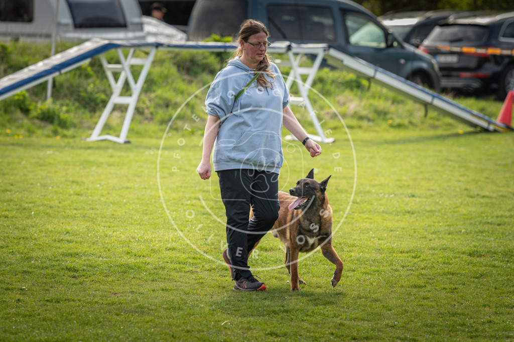 Pfotenfotografie_DV3A4970 | Hundefotografie, Tierfotograf, Pfotenfotografie, Fotoshooting Hund, Hunde Portrait, Hundesport, Hundeportraits, Heideshooting, Hunde, Sportfotograf, Hundefotograf, Turnierhundsport, THS,  - Realisiert mit Pictrs.com
