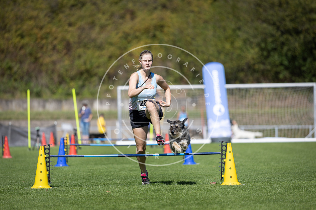Pfotenfotografie_DV3A7203 | Hundefotografie, Tierfotograf, Pfotenfotografie, Fotoshooting Hund, Hunde Portrait, Hundesport, Hundeportraits, Heideshooting, Hunde, Sportfotograf, Hundefotograf, Turnierhundsport, THS,  - Realisiert mit Pictrs.com