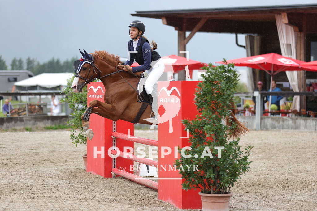 0P6A1548 | Willkommen bei Brunnmayr - Design & Fotografie – Ihrem Spezialisten für Reitturniere und Pferdeveranstaltungen in Oberösterreich, Salzburg und Bayern! Seit über 17 Jahren sind wir leidenschaftlich dabei.