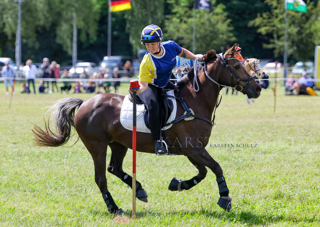 1B3A4203 | Reitsport Reiten