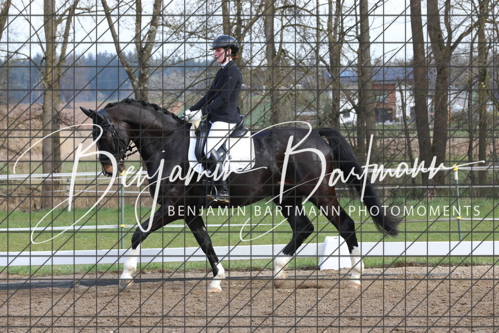 AZ2A6513 | Benjamin Bartmann Photomoments