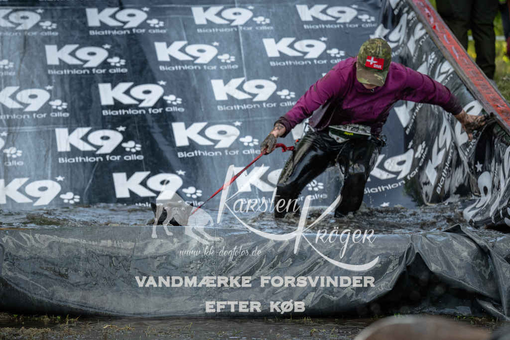 1600_ZZ91724 | kk-dogfotos