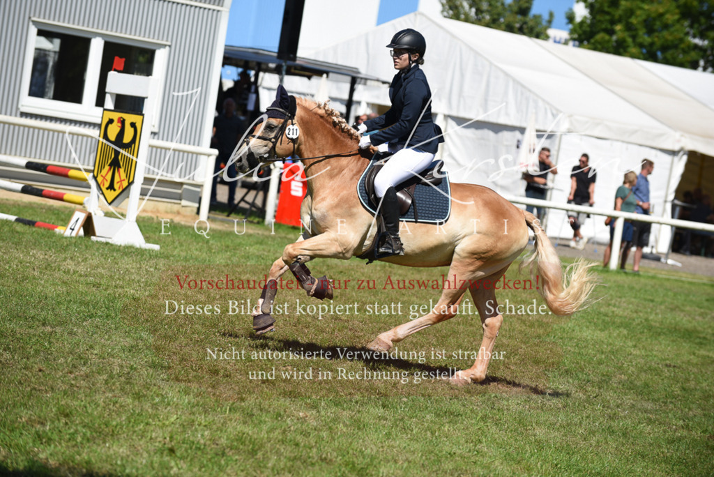 DSC_9510 | Pferde- und Turnierfotografie in Westsachsen. Pferdeportraits, Auftragszeichnungen und intuitive Kunst.
