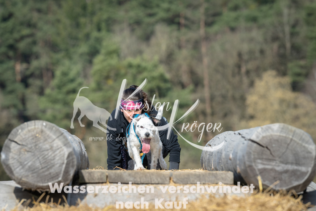 0953_ZZ96974 | kk-dogfotos