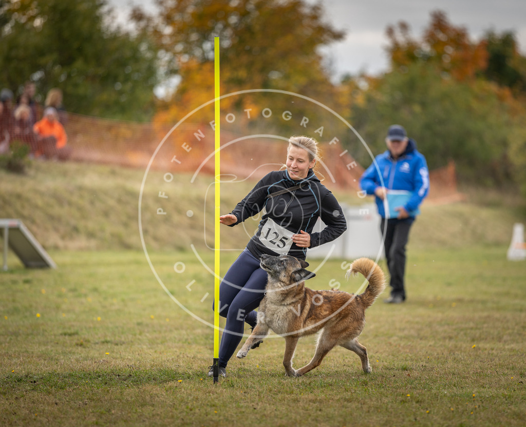 Pfotenfotografie_DV3A6918 | Hundefotografie, Tierfotograf, Pfotenfotografie, Fotoshooting Hund, Hunde Portrait, Hundesport, Hundeportraits, Heideshooting, Hunde, Sportfotograf, Hundefotograf, Turnierhundsport, THS,  - Realisiert mit Pictrs.com